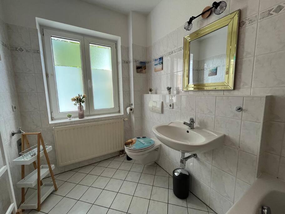 Blue Chili 22 - 2-Raum-Wohnung Im Stadtfeld Ost Magdeburg Kültér fotó